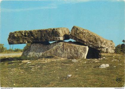Postcard France Vaour Tarn Le Dolmen