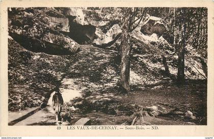 CPA Les Vaux de Cernay Sous bois