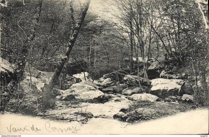 CPA Vaux de Cernay