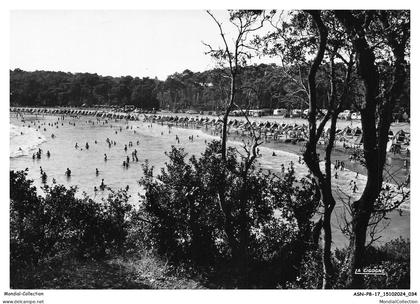 ASNP8-0501-17 - VAUX-SUR-MER - Plage de nauzan