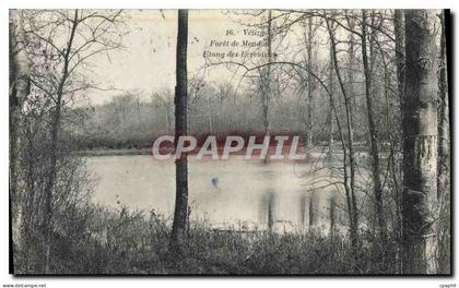 CPA Velizy Foret de Meudon Etang des Ecrevisses