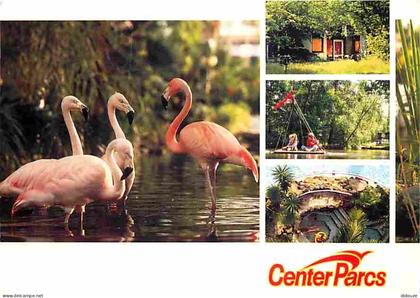 27 - Verneuil sur Avre - Les Bois-Francs - Center Parcs - Multivues - Flamants roses - Flamme Postale de Verneuil sur Av