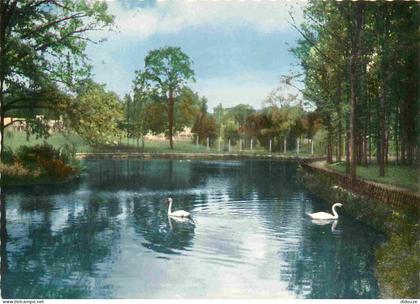 78 - Verneuil sur Seine - Le Parc - Cygnes - Carte dentelée - CPSM grand format - Voir Scans Recto-Verso
