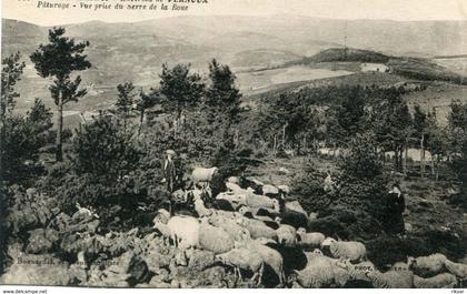 VERNOUX(MOUTON)