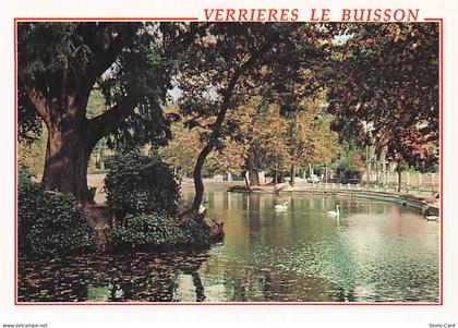91 VERRIERES LE BUISSON PARC DE VERRIERES LE BUISSON