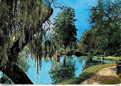 Carte Postale - 91 - Verrières le Buisson - Le lac - CPM - Voir Scans Recto-Verso - Poscard - Carta Postal -  Postkarte