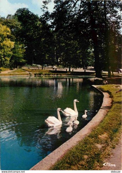 Carte Postale - 91 - Verrières le Buisson - Le Lac - CPM - Voir Scans Recto-Verso - Poscard - Carta Postal -  Postkarte
