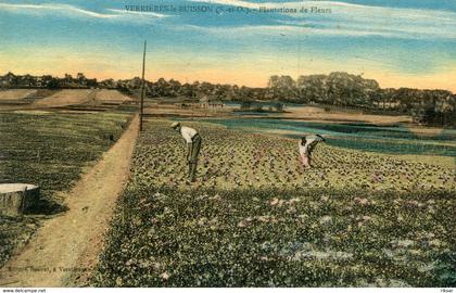 VERRIERES LE BUISSON