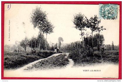 91 VERT-le-PETIT -