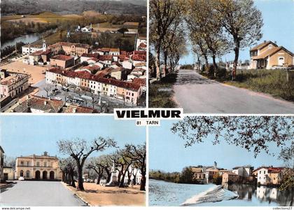 81-VIELMUR-MULTIVUES