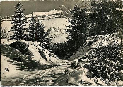 38 - Villard de Lans - Environs de Villard de Lans - Le Cornafion (2031 m.) - Hiver - Neige - Carte dentelée - CPSM gran