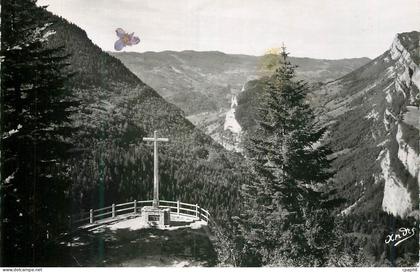 CPA Les Belles Alpes Francaises  Environs de Villard de Lans Belvedere de Valchevriere