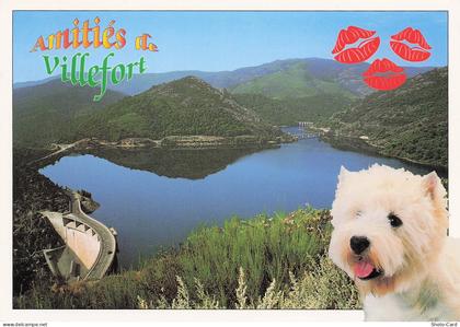 48 VILLEFORT LAC DE VILLEFORT