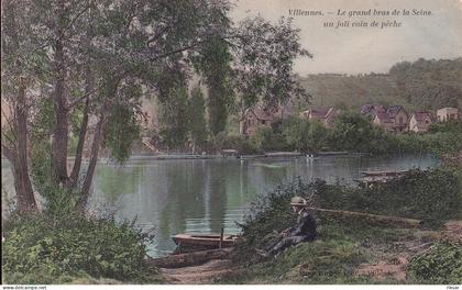 VILLENNES SUR SEINE(ARBRE)