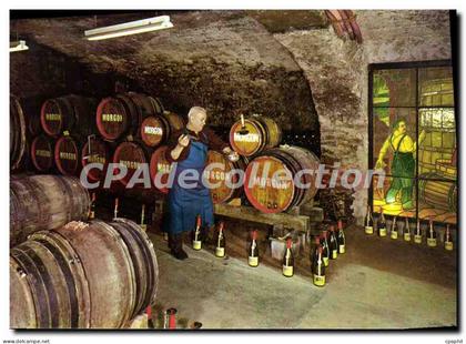 CPSM Villie Morgon Rhone Caveau Cru Morgon