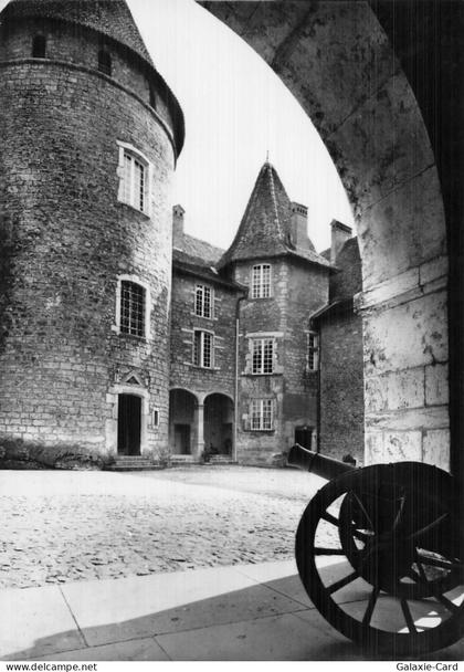 38 VIRIEU SUR BOURBRE CHATEAU DE VIRIEU