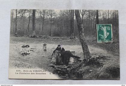 bois de Viroflay, la fontaine des Nouettes, Yvelines 78