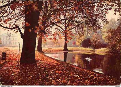 91 - Viry-Chatillon - Le parc Leblanc - Cygnes - CPM - Voir Scans Recto-Verso