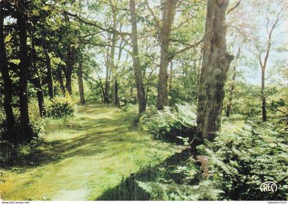 18 VOUZERON ENVIRONS DE VOUZERON