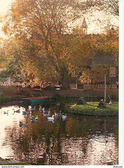 59 - Wattrelos - La Ferme Pédagogique - Carte Neuve - CPM - Voir Scans Recto-Verso