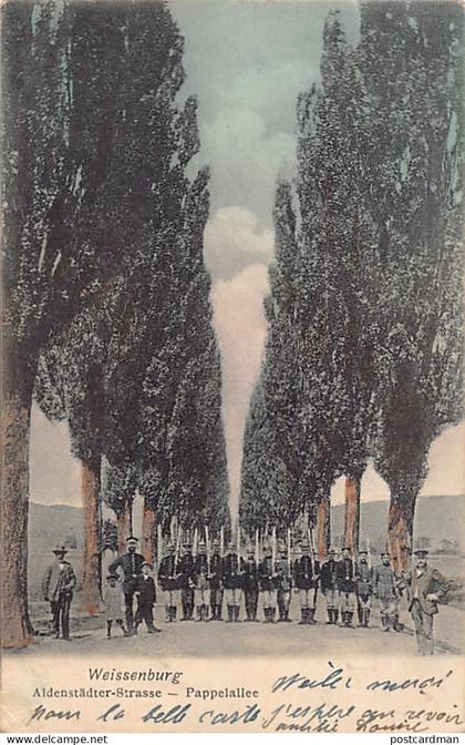 France - WISSEMBOURG (67) Aldenstädter-Straße - Pappelallee