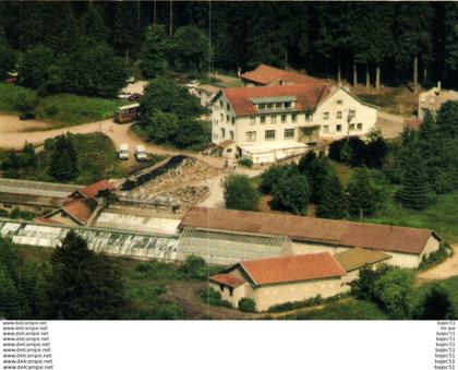 Xonrupt  Longemer - La Moineaudière