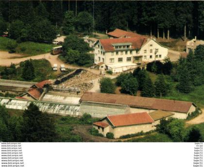 Xonrupt  Longemer - La Moineaudière