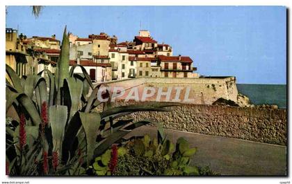CPA Les Sites Merveilleux de la Cote D'Azur of Antibes La Promande sur les Remparts