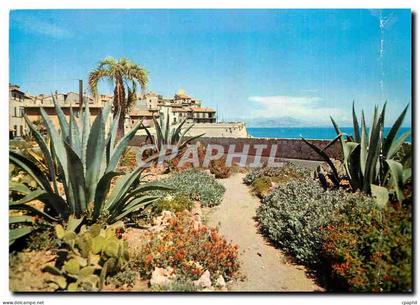 CPM Antibes Les Remparts