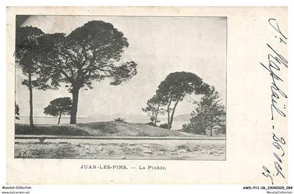 AWDP11-0877-06 - JUAN-LES-PINS - La pinède