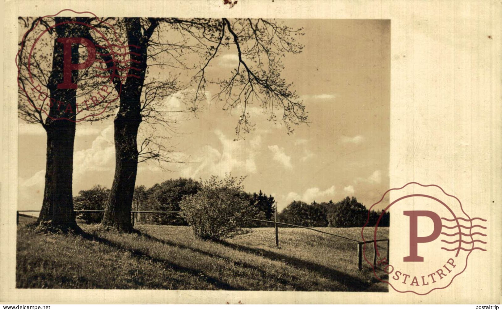 FRANCIA. FRANCE. RPPC. SIN IDENTIFICAR.