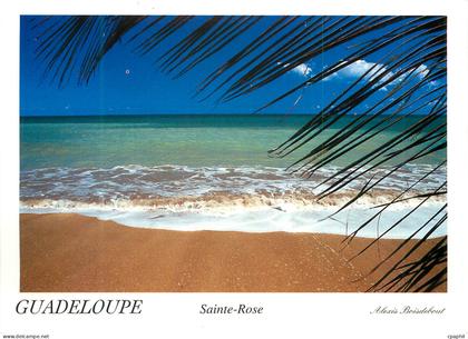 CPM Guadeloupe Sainte Rose La Guadeloupe La Plage des Amandiers