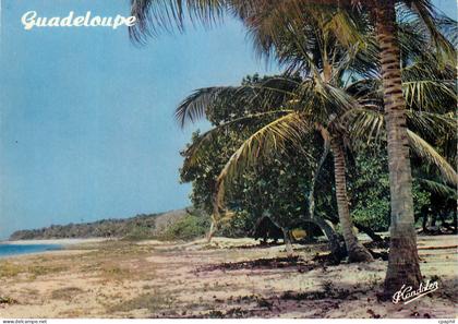 CPM Guadeloupe La Guadeloupe en coleurs La plage La Ferriere a Capesterre Marie Galante