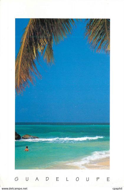 CPM Guadeloupe