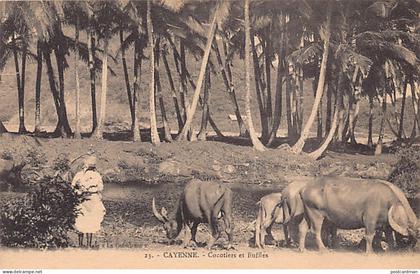 Guyane - CAYENNE - Cocotiers et Buffles - Ed. Magasin La Conscience 23.