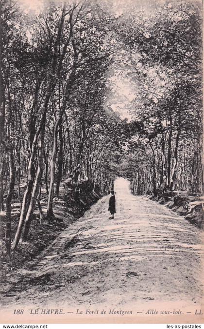 76 LE HAVRE LA FORET DE MONTGEON