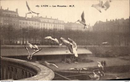 CPA Lyon Les Mouettes Oiseaux