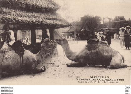 Marseille - Expositions Coloniales 1922 - Palais de l' A.O.F - les chameaux