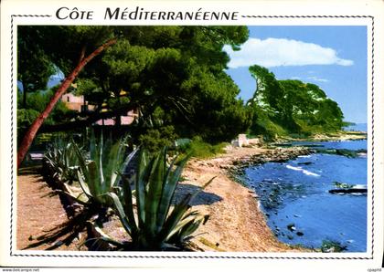 CPM Cote Mediterranee Calanques et pinedes