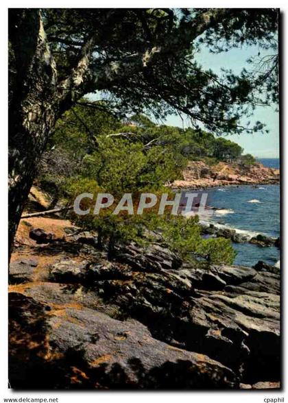CPM Pinede et Calanque de la Cote d'Azur