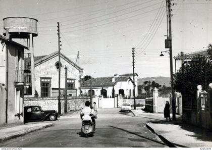 13 / MARSEILLE / MONTOLIVET  / RARE CPSM