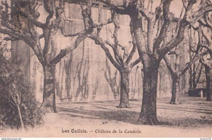 13 / MARSEILLE / LES CAILLOLS /  CHATEAU DE LA CANDOLLE