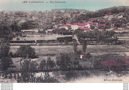 A15-13) LES CAILLOLS  - MARSEILLE - VUE GENERALE  - EDIT. DELESTRADE -  ( 2 SCANS )