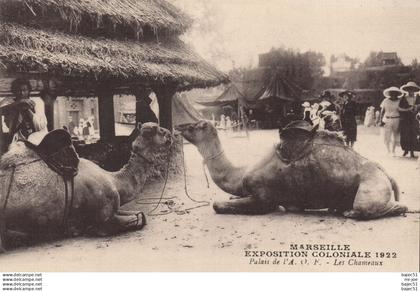 Marseille - Expositions Coloniales 1922 - Palais de l' A.O.F - les chameaux