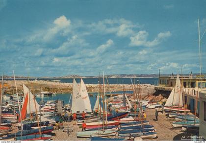 13 / MARSEILLE / POINTE ROUGE / LE CLUB NAUTIQUE