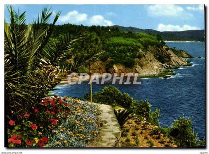 CPM Calanques et vegetations mediterraneenes