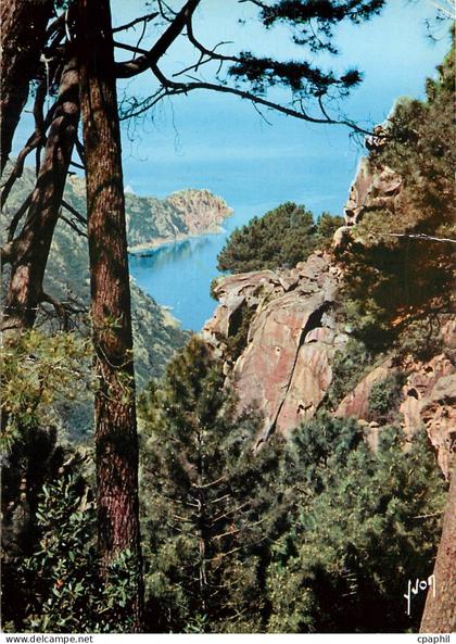 CPM Couleurs et Lumiere de France Les Calanques