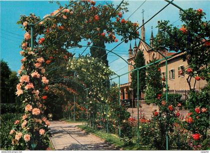 CPM Nice Alpes Maritimes Les jardins du Monastere de Cimiez