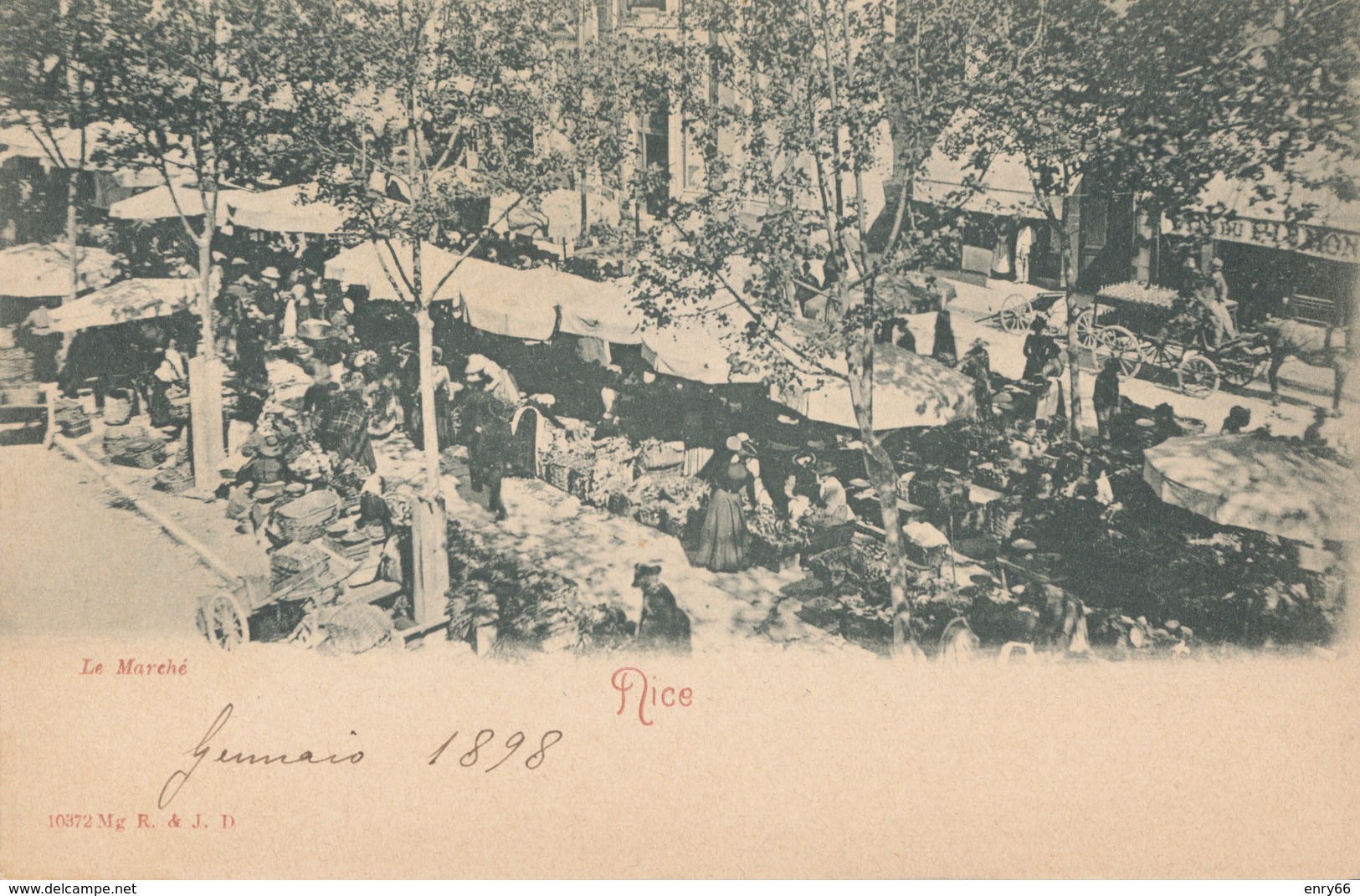 FRANCIA-NIZZA LE MARCHE