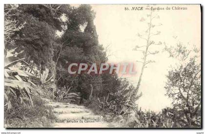 CPA Nice Jardins du Chateau